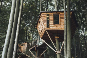 Baumhaushotel Robins Nest